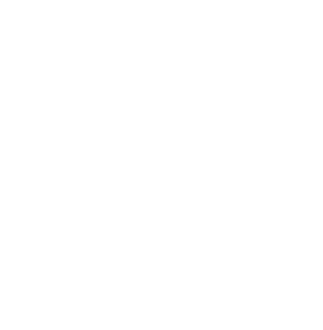 Elmira College Logo